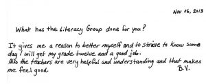 BV own words for The Literacy Group